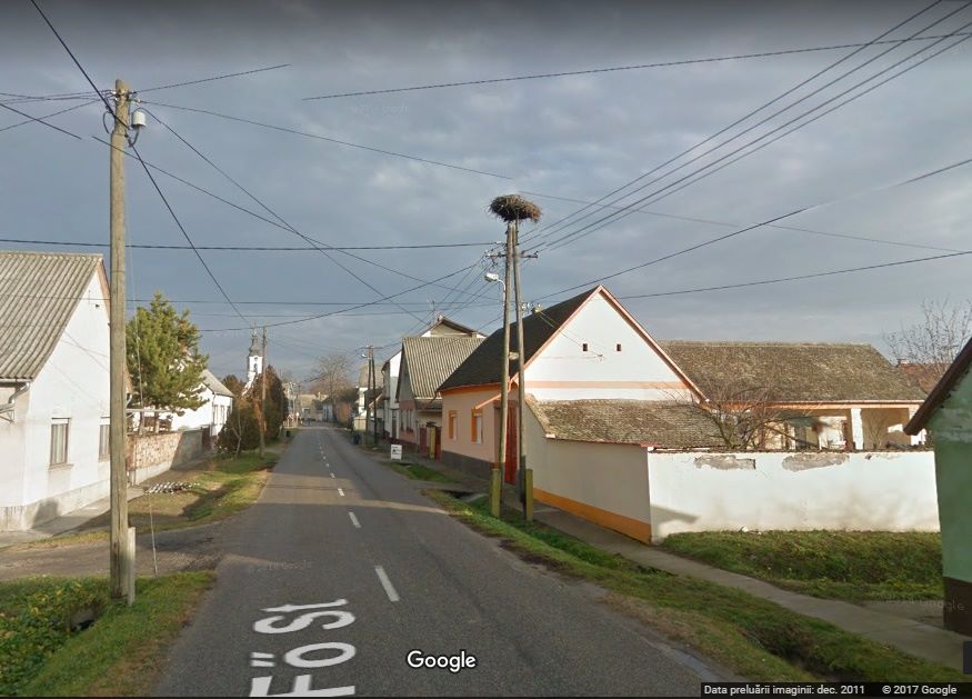 Foto 4. Cuibul părintesc din localitatea Szeremle, județul Bács-Kiskun, Ungaria. Imagine Google Street View