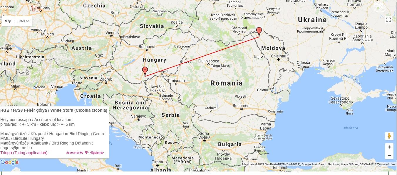Distanța între cuibul natal și cel întemeiat de cocostârcul din Ungaria